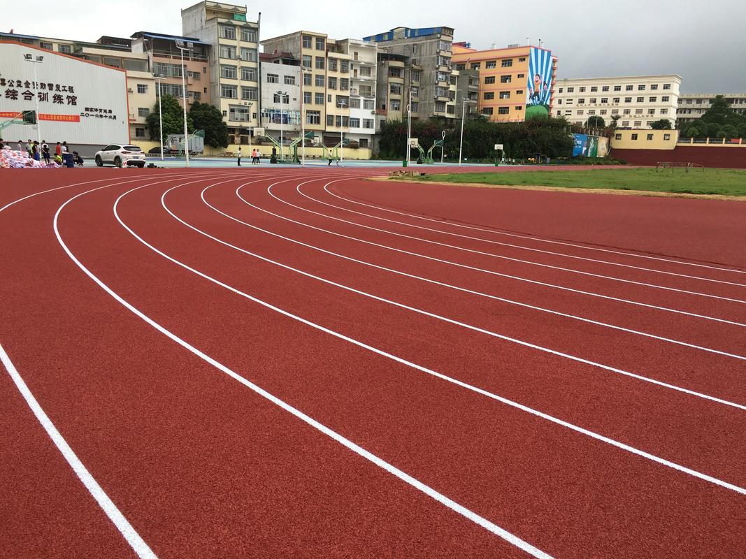 抚顺市学校塑胶跑道塑胶跑道材料 - 方案